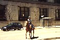 mounted patrol