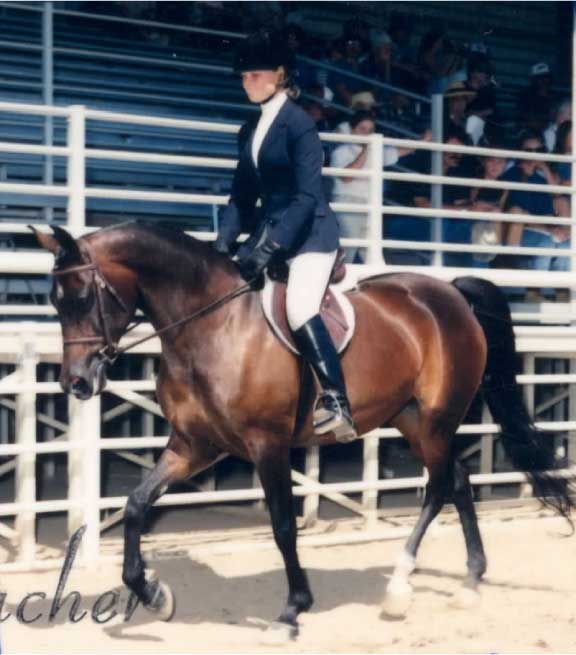 Lisa on Careless Talk, Open Hunter Champion in Paso Robles, 1998. Lila Foucher photo.