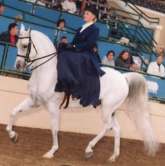 Osteen photo