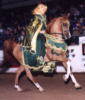 osteen photo