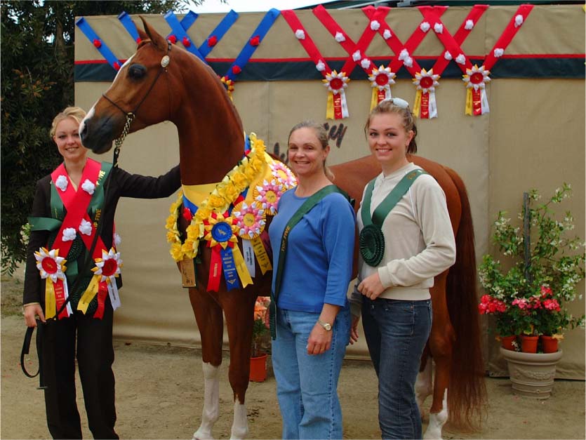 NW Phenomenon taking home tons of Ribbons from Del Mar