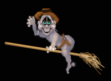 brooms2.gif (26615 bytes)