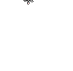 snows.gif (4925 bytes)