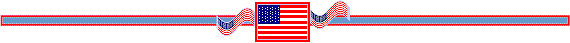 usaflagline2.gif (2742 bytes)