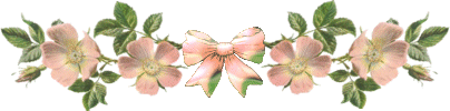 wildroseline.gif (22839 bytes)