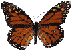 butterfly2.gif (4441 bytes)