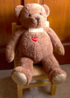 CPR Teddy sitting in a chair