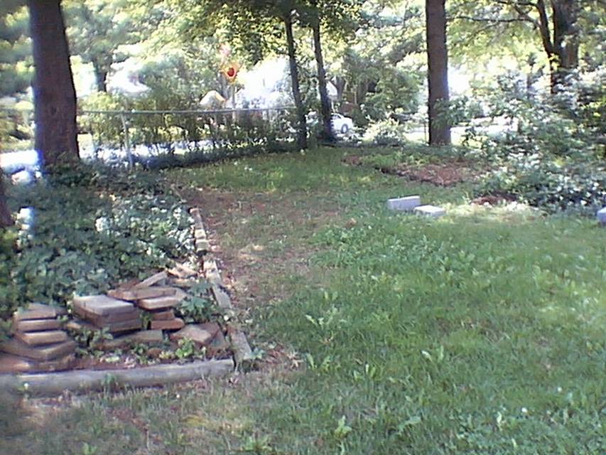 Much less Ivy!