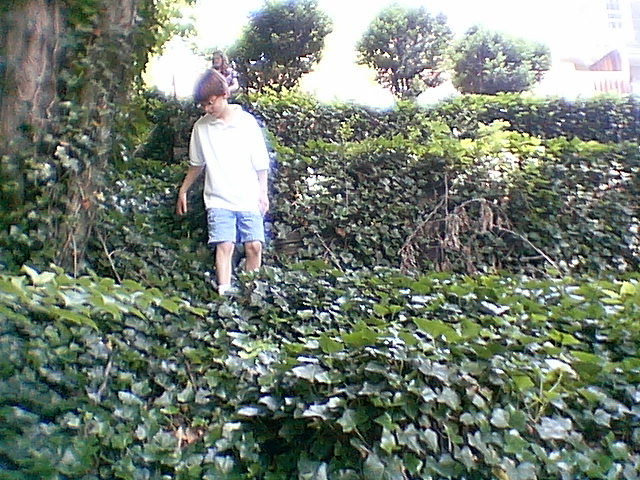 And a lot of Ivy!