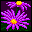 Aster button
