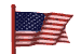 Waving US Flag