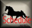 schedule.jpg (4192 bytes)