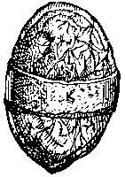 embrio05.gif (2929 bytes)