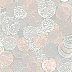 Coin  Collection