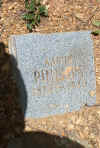 Aaron Phillips.jpg (98483 bytes)