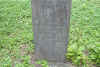 polly ward phillips.jpg (112234 bytes)