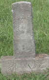 john matt wilson.jpg (57279 bytes)