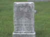 john mattt wilson.jpg (22246 bytes)