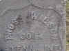 thomas william wilson.jpg (34254 bytes)