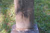 furn m reed.jpg (109853 bytes)