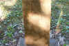 gilbert day.jpg (108783 bytes)