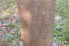 isaac p sharp.jpg (105162 bytes)