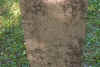 jake sharp.jpg (94792 bytes)
