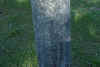 jordan parker.jpg (93834 bytes)