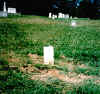 rachel bales chase tharp.jpg (161007 bytes)