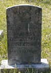 blanche m harness.jpg (11274 bytes)