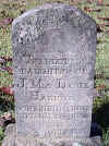 charlotte harness.jpg (55803 bytes)