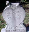 david a jones.jpg (33756 bytes)