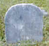 david e harness.jpg (21076 bytes)
