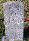 david lee harness.jpg (52022 bytes)