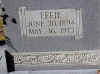 effie duncan daugherty.jpg (27741 bytes)