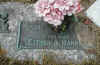 ester arlene harness.jpg (21188 bytes)
