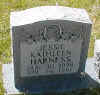 jessie harness.jpg (11840 bytes)
