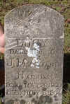 lucy harness.jpg (56180 bytes)