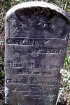 orleny seiber.jpg (60585 bytes)