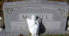 rufus mcghee selena harness.jpg (28892 bytes)