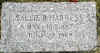 sallie duncan harness.jpg (22532 bytes)