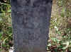 tollie seiber.jpg (31328 bytes)