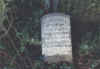 rev john seiber.jpg (55834 bytes)