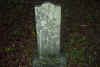 IM000847.jpg (84182 bytes)