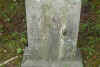 williamsharp.JPG (88838 bytes)