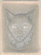 Cougar