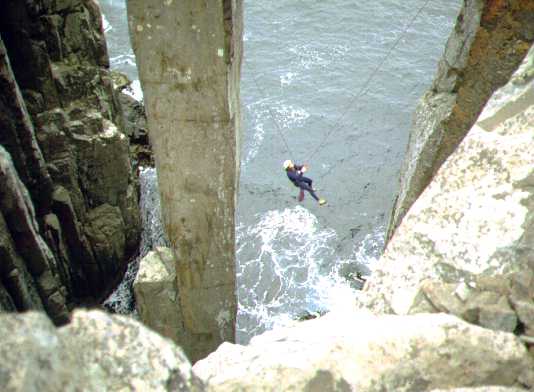 cs_13.jpg (29037 bytes)