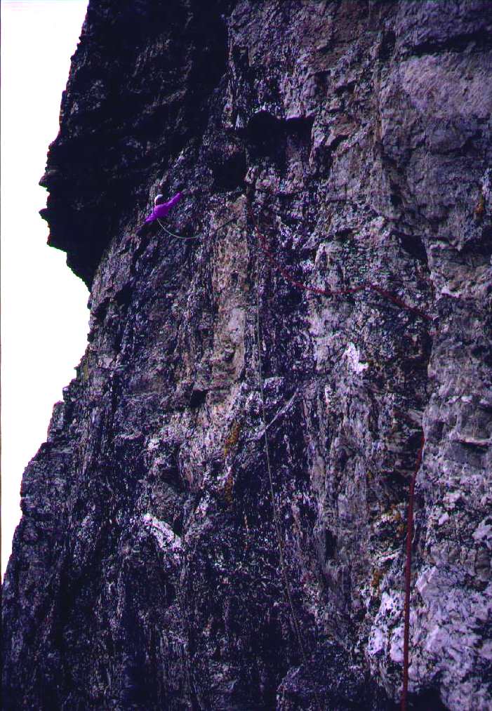 fc_08_2.jpg (121377 bytes)