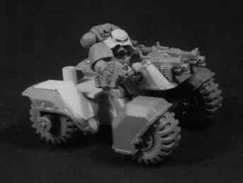 Bug01001.JPG (89786 bytes)