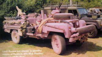 Sas001.jpg (323920 bytes)
